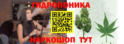альфа пвп Ачхой-Мартан