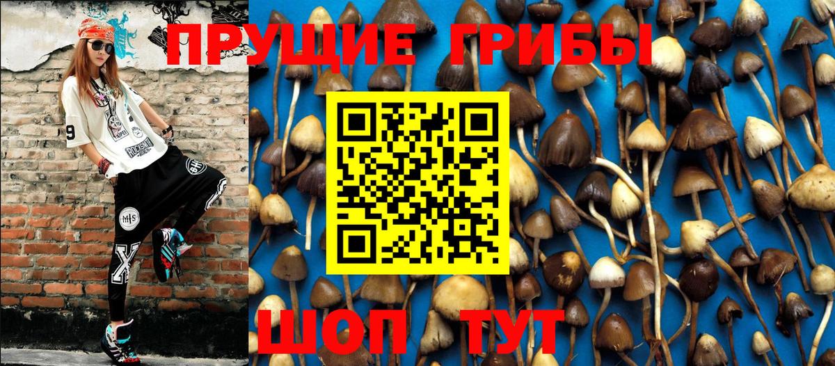где купить   Вход с VPN  Псилоцибиновые грибы Psilocybe  Саратов  Галлюциногенные грибы мухоморы 